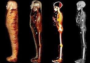Image result for Preserved Mummies