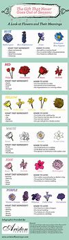 Image result for Meaning of Flowers