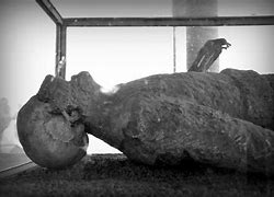 Image result for Pompeii Bodies Black and White