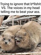 Image result for Angry Jokes