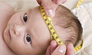 Image result for Measuring Baby Length