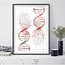 Image result for DNA Molecule Poster