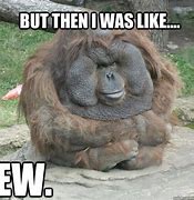 Image result for Funny Baboon Memes