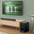 Image result for Sony 16 Ohm Surround Speakers