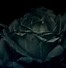 Image result for Gothic Floral Wallpaper