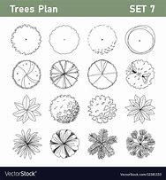 Image result for TreePlan Silhouette