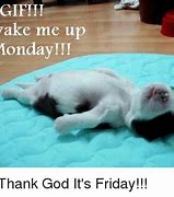 Image result for Fantastic Friday Cat Meme