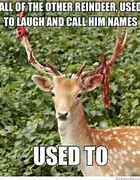 Image result for Need Deer in My Life Meme