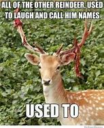 Image result for Scary Deer Meme