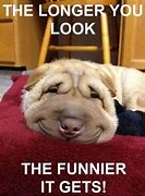 Image result for Funny Images to Make You Laugh