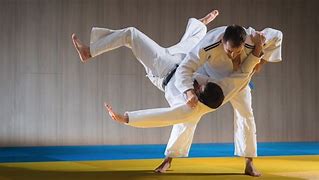 Image result for Judo Stance