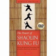 Image result for Kung Fu Books