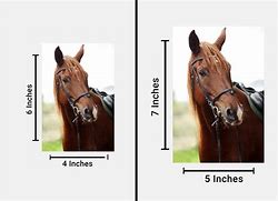 Image result for 5X7 vs 4X6 to Scale