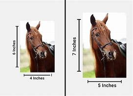 Image result for 4X6 Picture Size Compared to 5X7