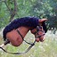 Image result for Cute Horse with Bridle Image