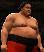 Image result for Yokozuna Sumo