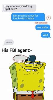 Image result for Home Alone FBI Meme