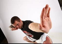 Image result for Martial Arts Action Poses