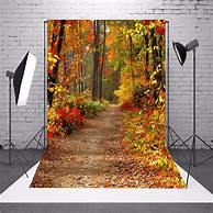 Image result for Canvas Photography Backdrops
