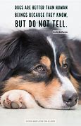 Image result for Dogs Are Better than Humans Quotes