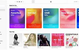 Image result for iOS 14 Beta Music App Background