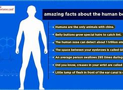 Image result for Did You Know Facts About Human Body
