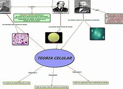 Image result for La Teoria Celular