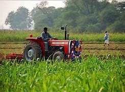 Image result for Farmer in Tractor