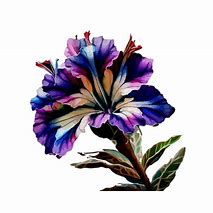 Image result for F Water Colour Gloria Flower