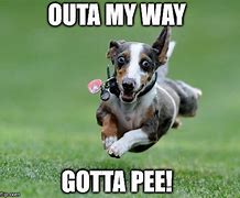Image result for Have to Pee Funny Meme