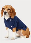 Image result for Dog Polo Shirt