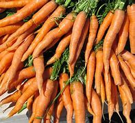 Image result for Fat Carrot