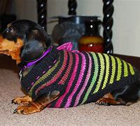 Image result for Small Dog Sweaters Chihuahua