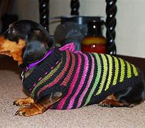 Image result for Small Dog Sweaters
