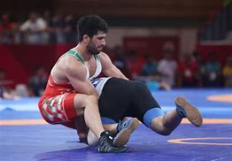 Image result for Wrestlers of India