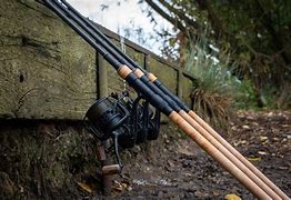 Image result for Carp Fishing Tackle