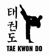 Image result for Tae Kwon Do Martial Arts
