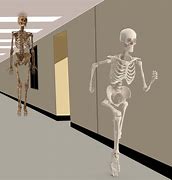 Image result for Hanging Skeleton Meme