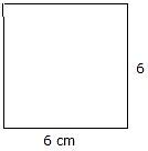 Image result for What Does a 6Cm X 6Cm Square Look Like