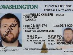 Image result for Driver License Washington State Photo