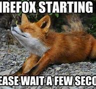 Image result for Scared Fox Meme