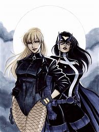 Image result for Black Canary Batman Brave and Bold