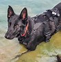 Image result for SAR Dogs