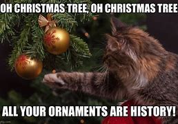 Image result for Cat Ornament Meme