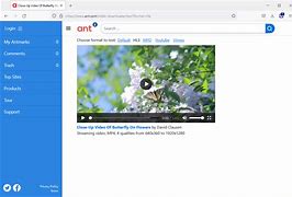 Image result for Ant Video Downloader and Player