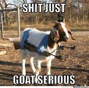 Image result for Cute Goat Quotes