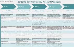 Image result for 30 60 90 Day Tracker Example