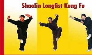 Image result for Dragon Kung Fu Basics