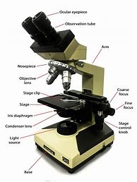 Image result for Biology Microscope