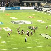 Image result for Canadian Gridiron Football